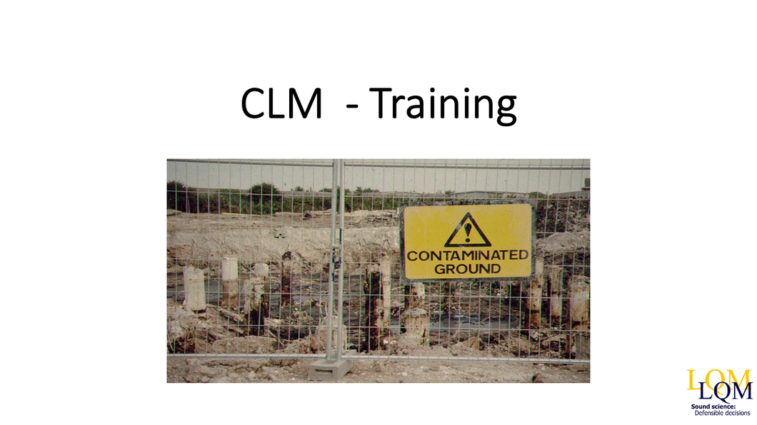 Risk Management and Remediation (Day 4) E learning